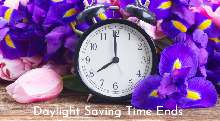 Daylight Saving Time Ends